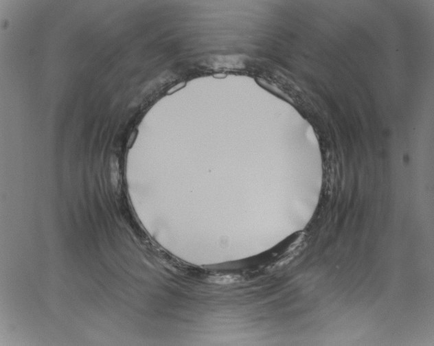 X0000067400704200604281908