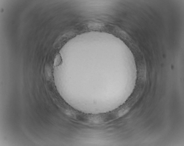 X0000067400705200604281908