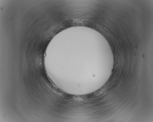 X0000067400706200604281908