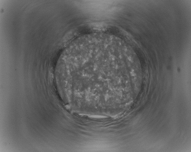 X0000067400707200604281908