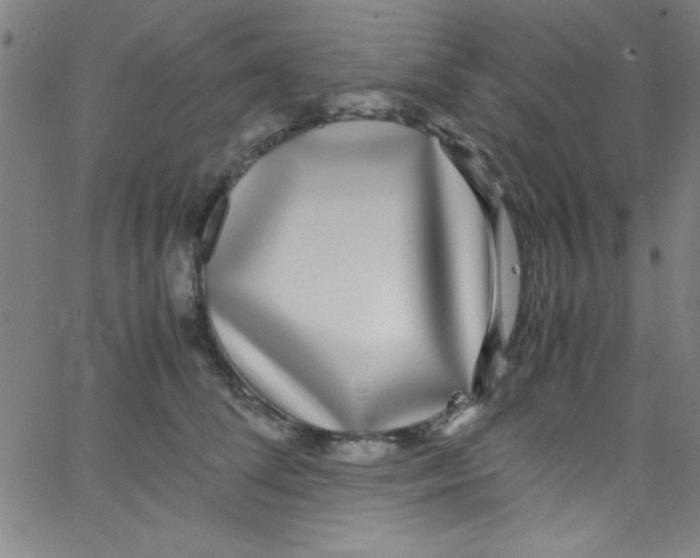 X0000067400708200604281908