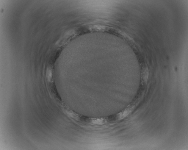 X0000067400709200604281908