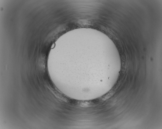 X0000067400710200604281908