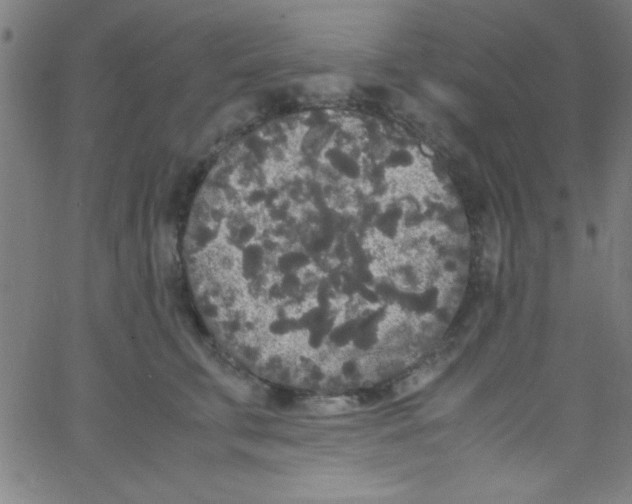 X0000067400711200604281908