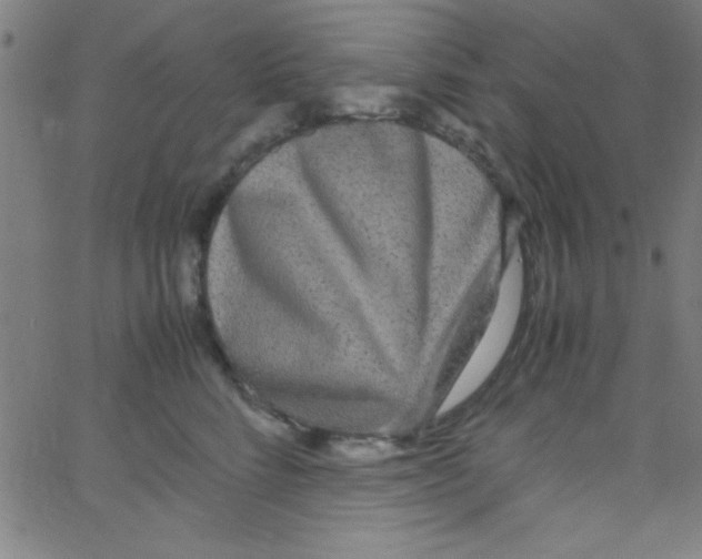 X0000067400712200604281908