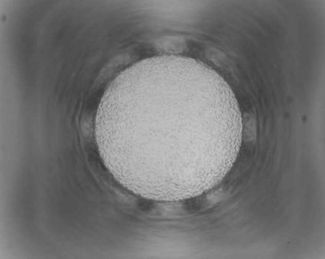 X0000067400713200604281908