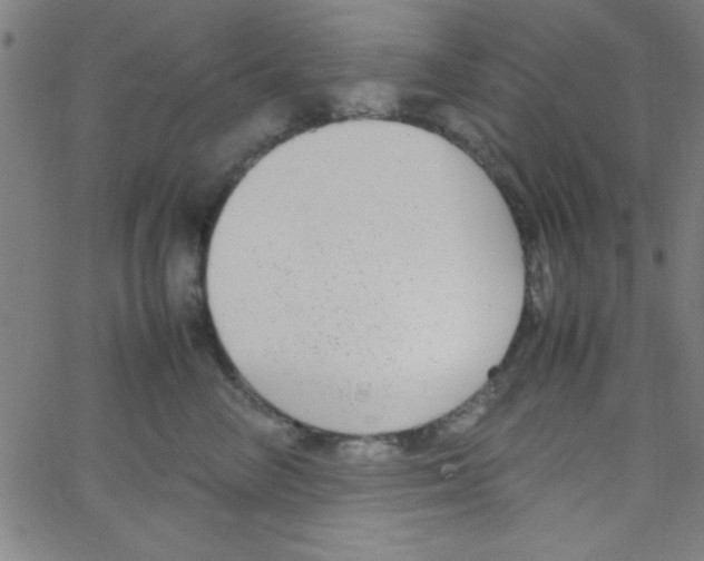 X0000067400714200604281908