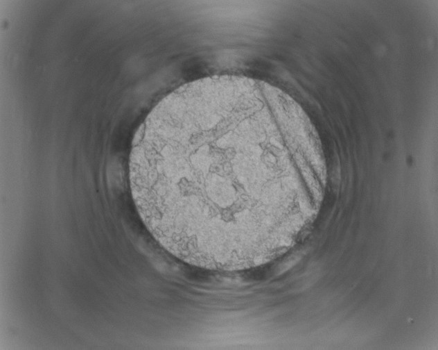 X0000067400715200604281908