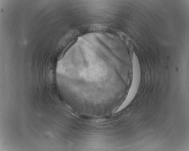 X0000067400716200604281908