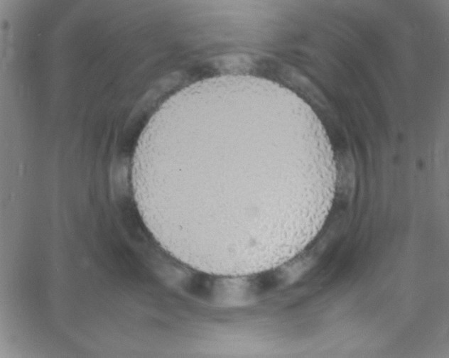 X0000067400717200604281908