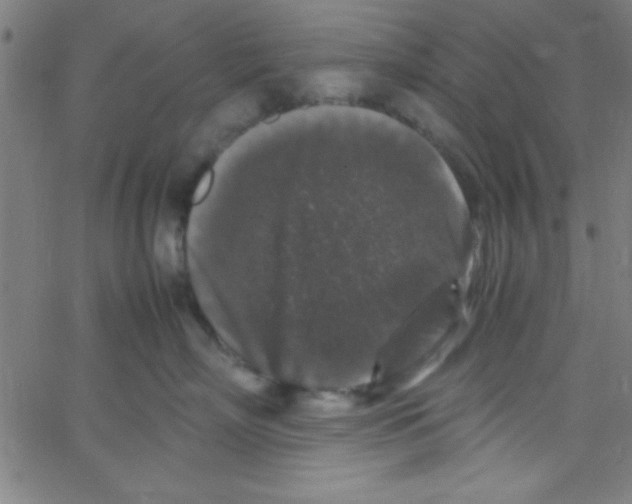 X0000067400718200604281908