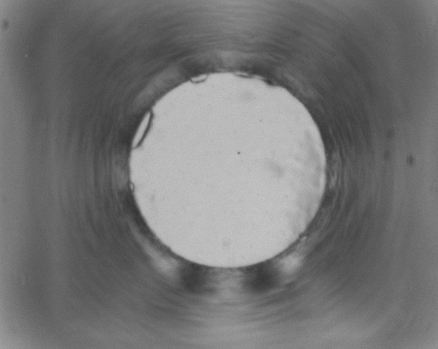 X0000067400719200604281908