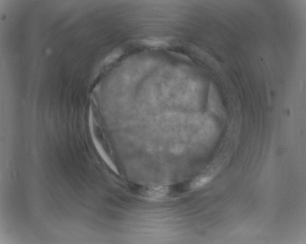 X0000067400720200604281908