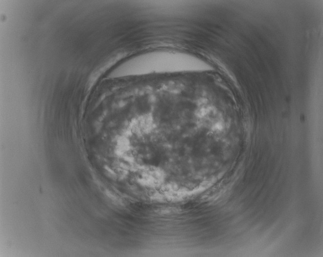 X0000067400721200604281907