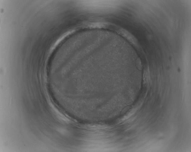 X0000067400722200604281907