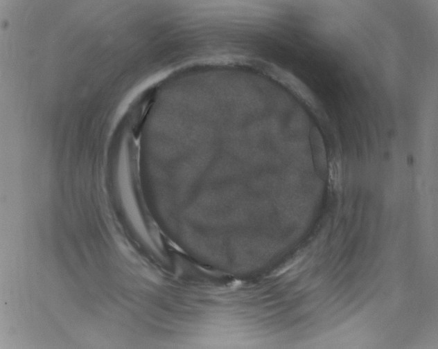 X0000067400724200604281907