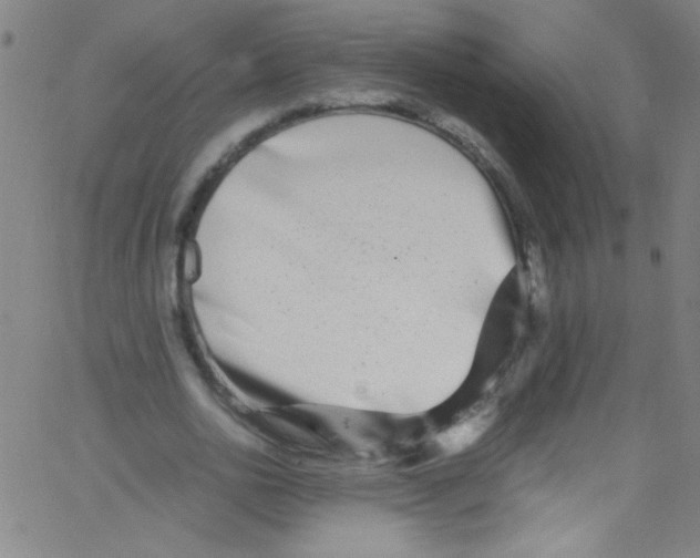 X0000067400726200604281907