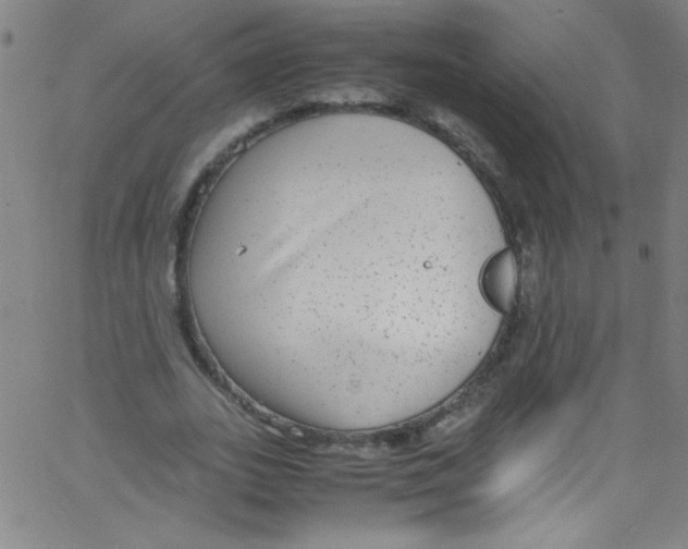 X0000067400727200604281907