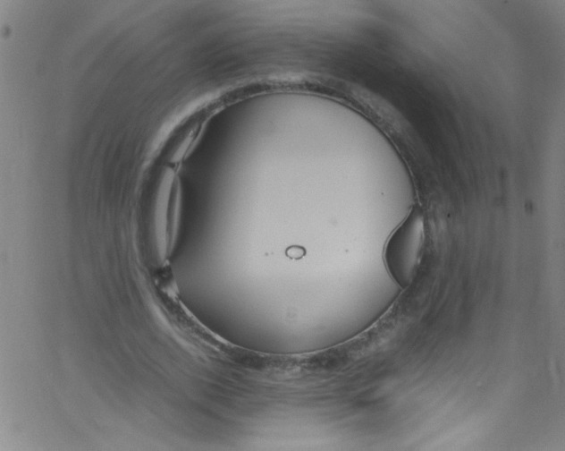 X0000067400728200604281907