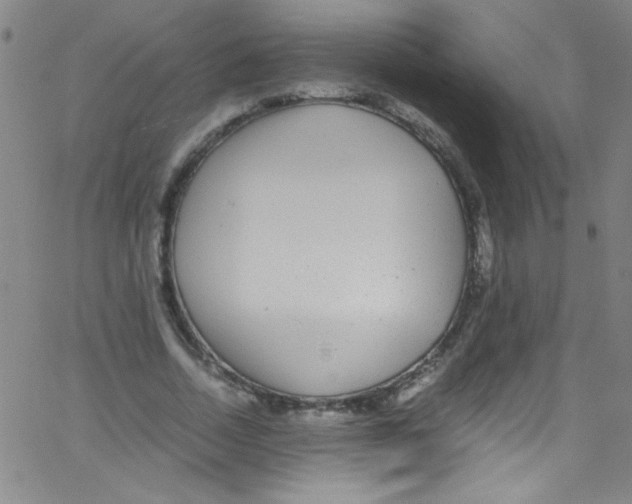 X0000067400730200604281907