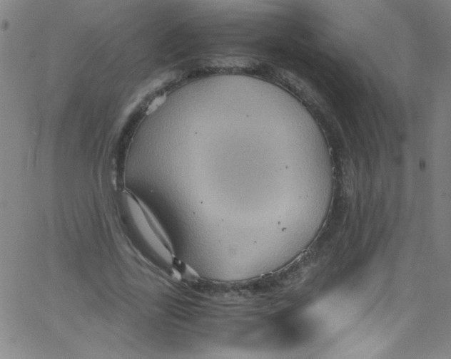 X0000067400731200604281907