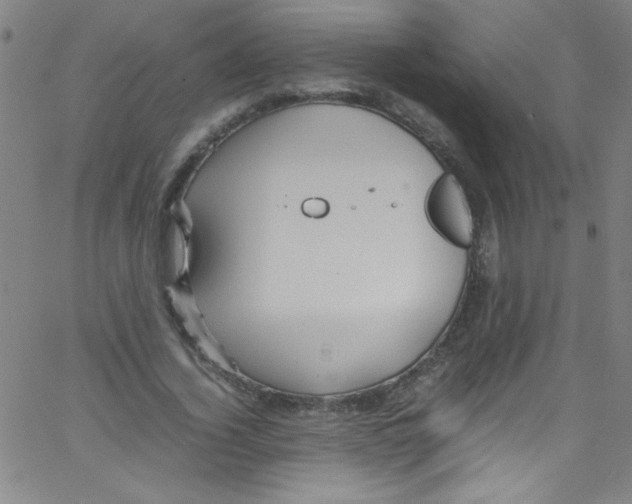 X0000067400732200604281907