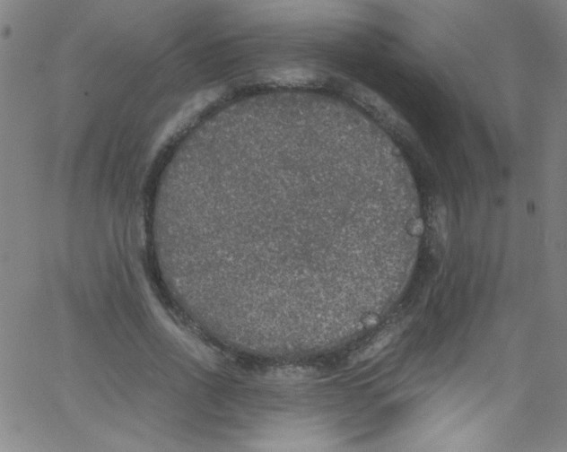 X0000067400734200604281907