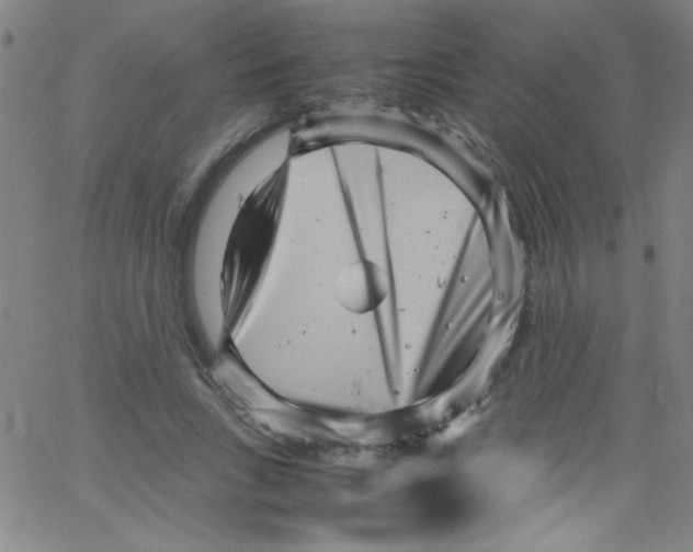 X0000067400735200604281907