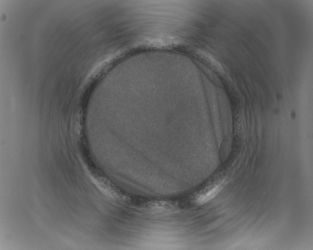 X0000067400736200604281907