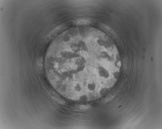 X0000067400737200604281907