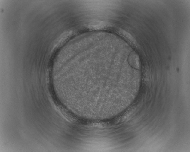 X0000067400738200604281907