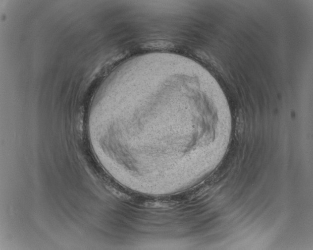 X0000067400739200604281907