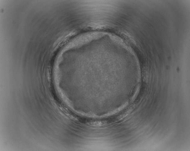 X0000067400740200604281907