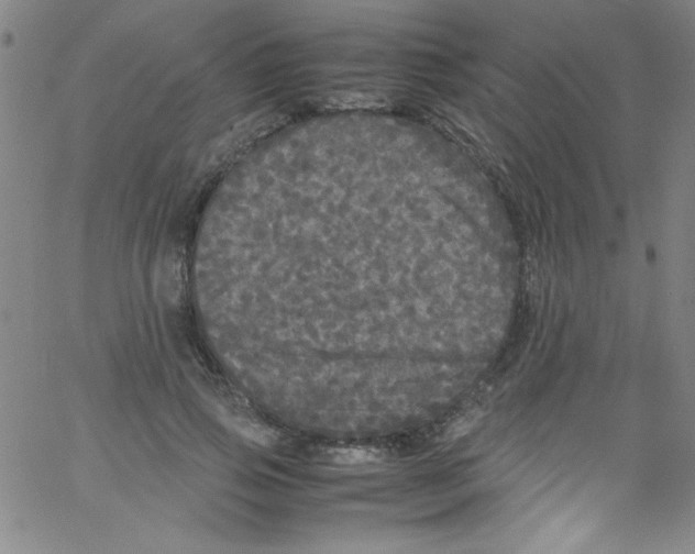 X0000067400741200604281907