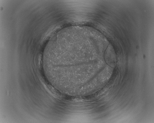 X0000067400742200604281907