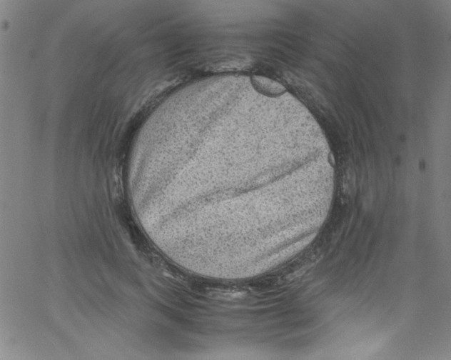 X0000067400743200604281907