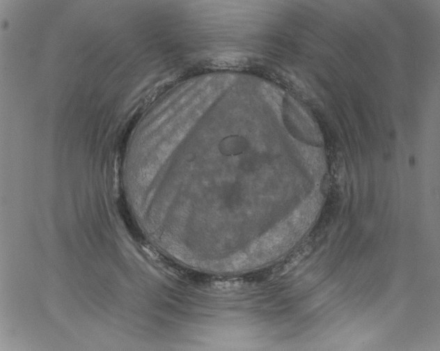 X0000067400744200604281907