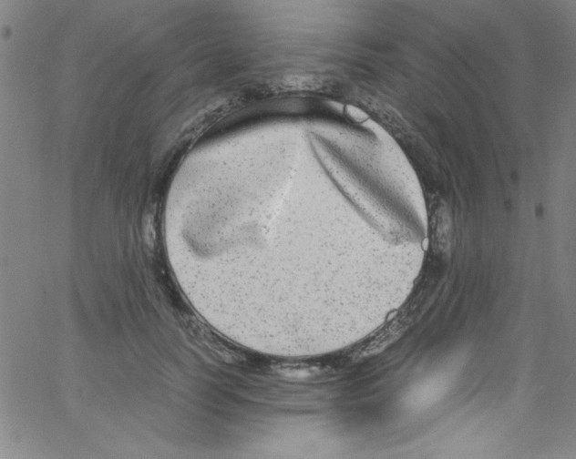 X0000067400746200604281907