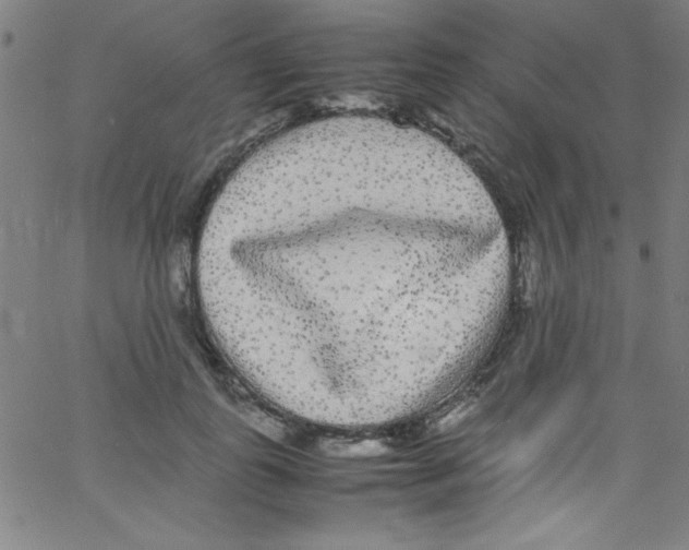 X0000067400747200604281907