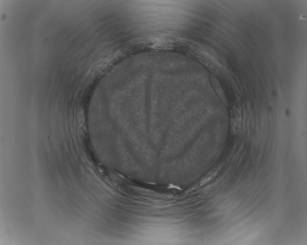 X0000067400748200604281907