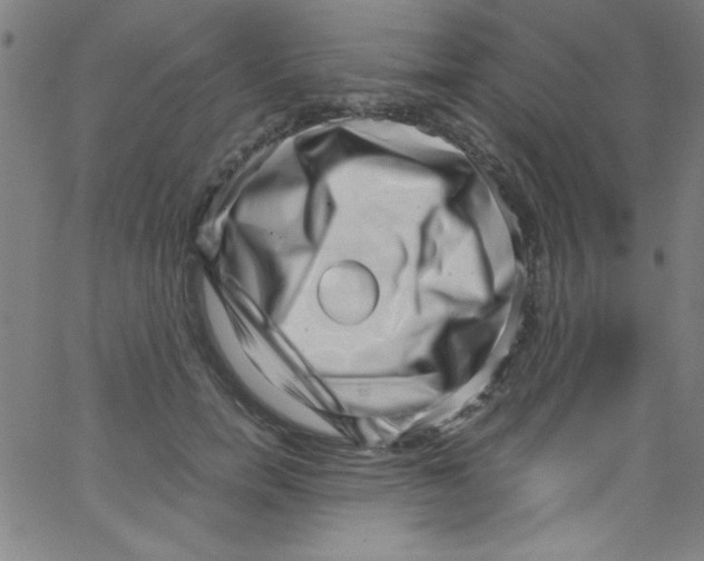 X0000067400750200604281907