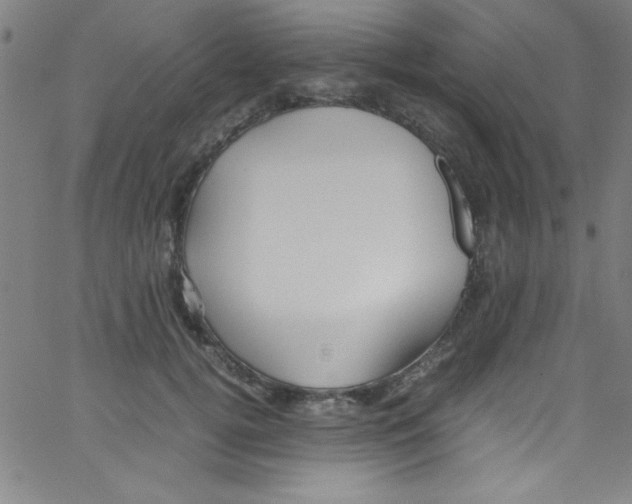 X0000067400752200604281907