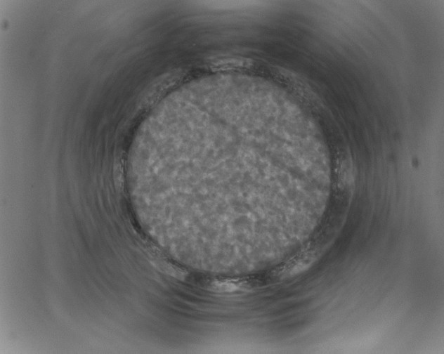 X0000067400753200604281907