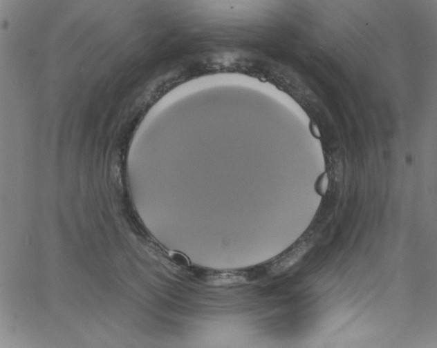 X0000067400754200604281907