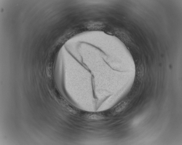 X0000067400755200604281907