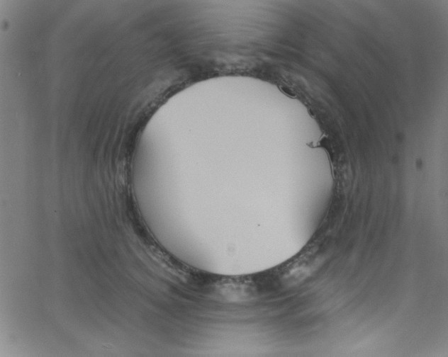 X0000067400756200604281907