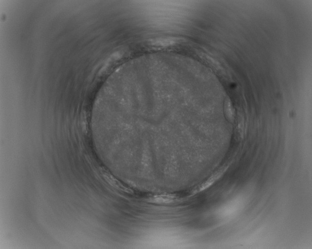 X0000067400758200604281907