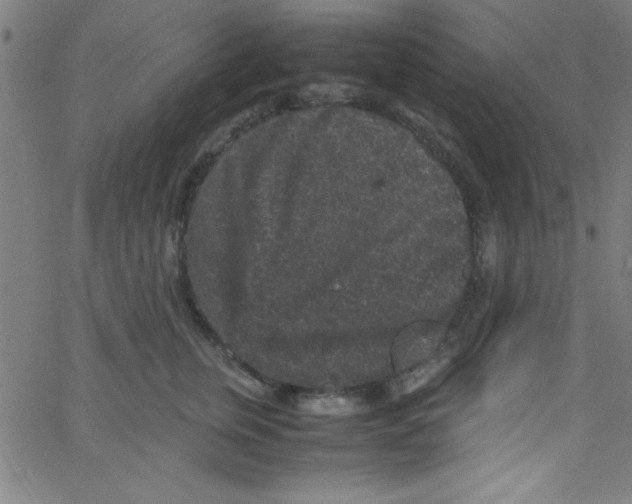 X0000067400759200604281907