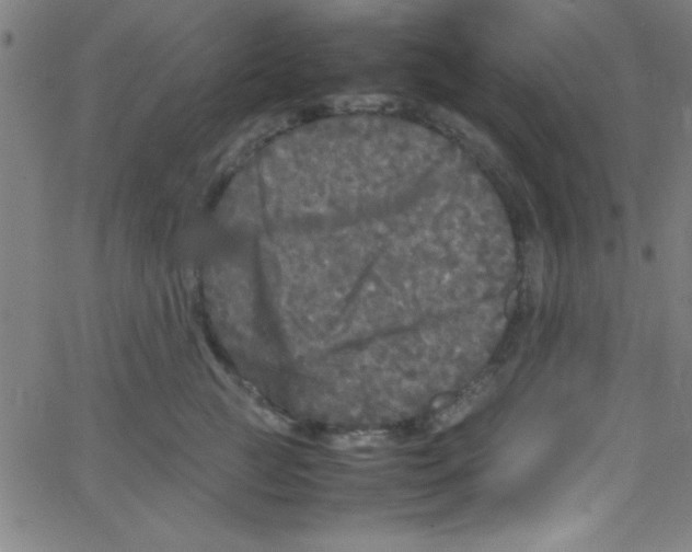 X0000067400761200604281907