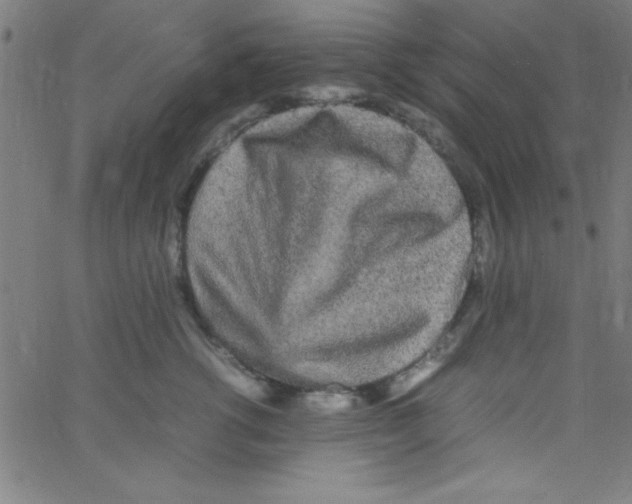 X0000067400762200604281907